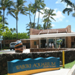 Waikīkī Aquarium