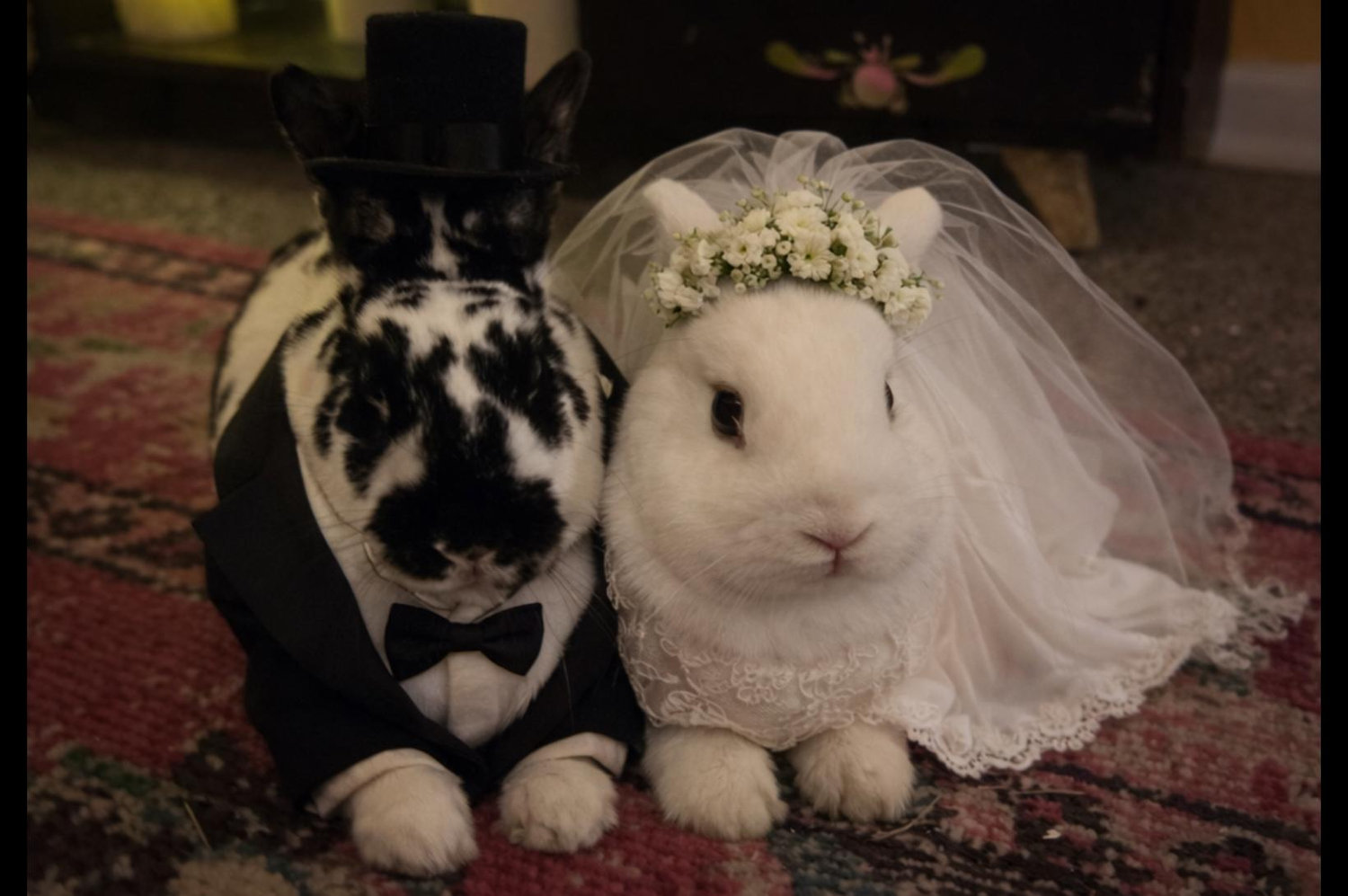 The Wedding Website of Holly Mason and Geordy Aguirre