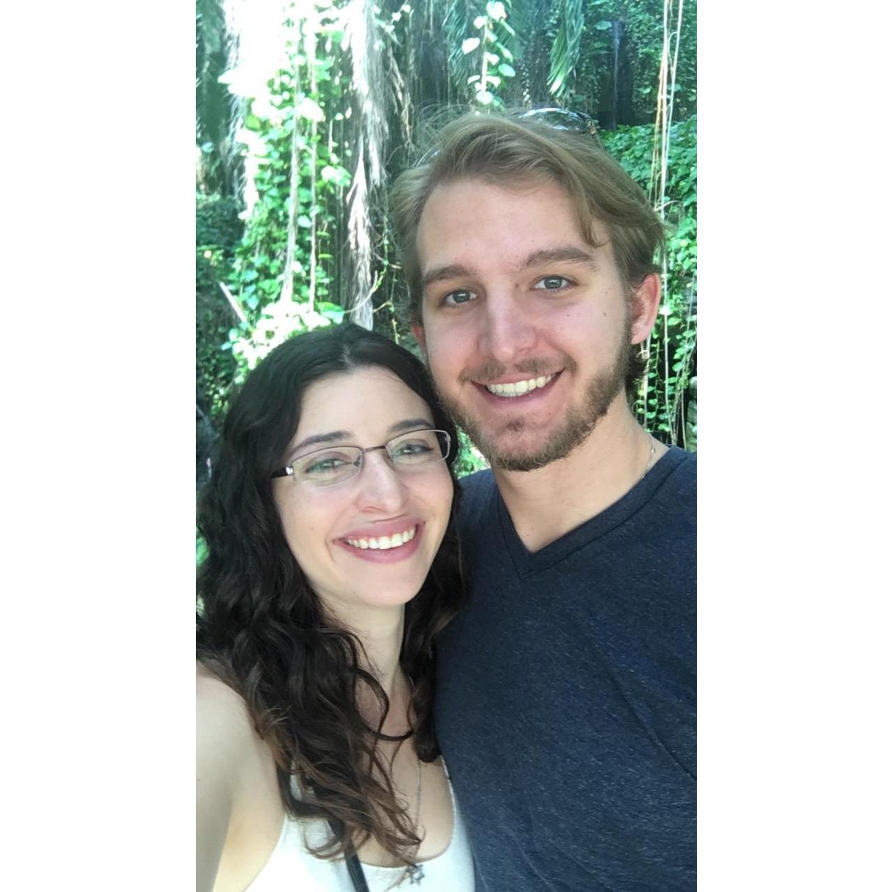 Rainforest exhibit in the Biosphere 2 enclosure on our 2nd anniversary, October 2017.