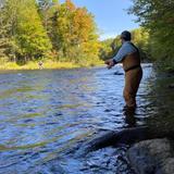 Fly Fishing