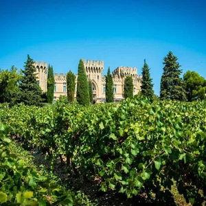 Wine Tasting in Châteauneuf-du-Pape