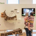 Musical Instrument Museum