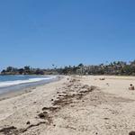 Visit the Beach!