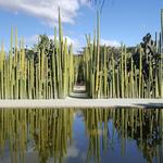 Jardín Etnobotánico de Oaxaca