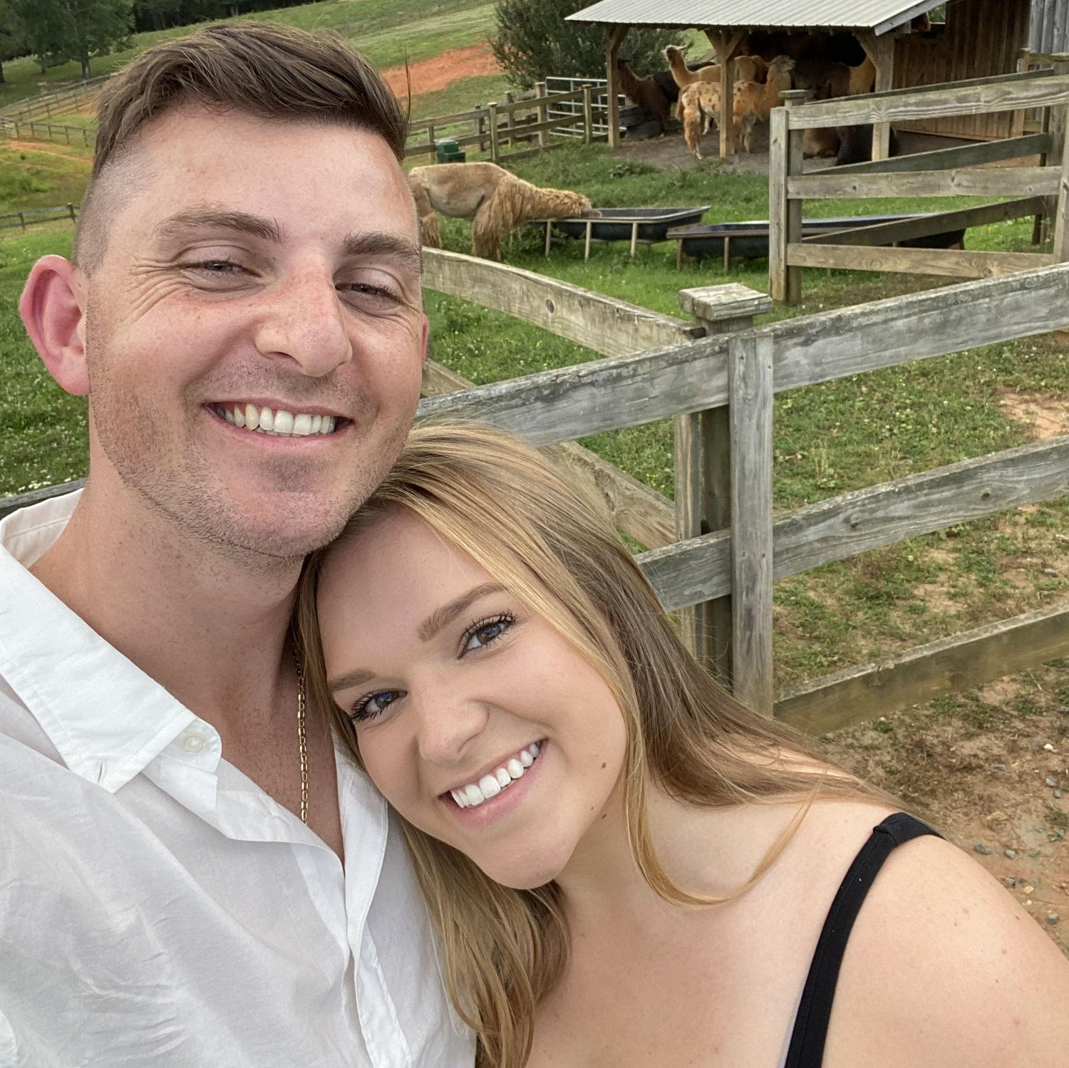 Our second date! We went to a Llama Vineyard.