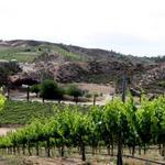 De Portola Wine Trail