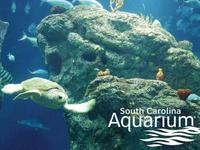 South Carolina Aquarium