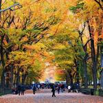 Central Park