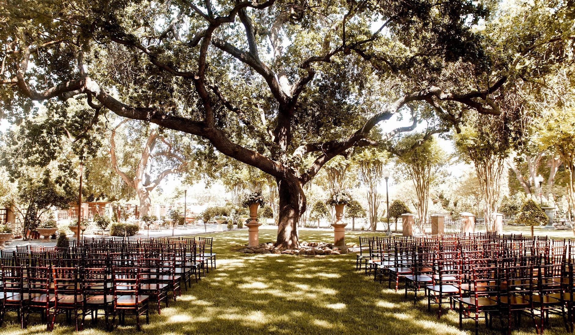 The Wedding Website of Tyler Swortfiguer and Gianna Morelli