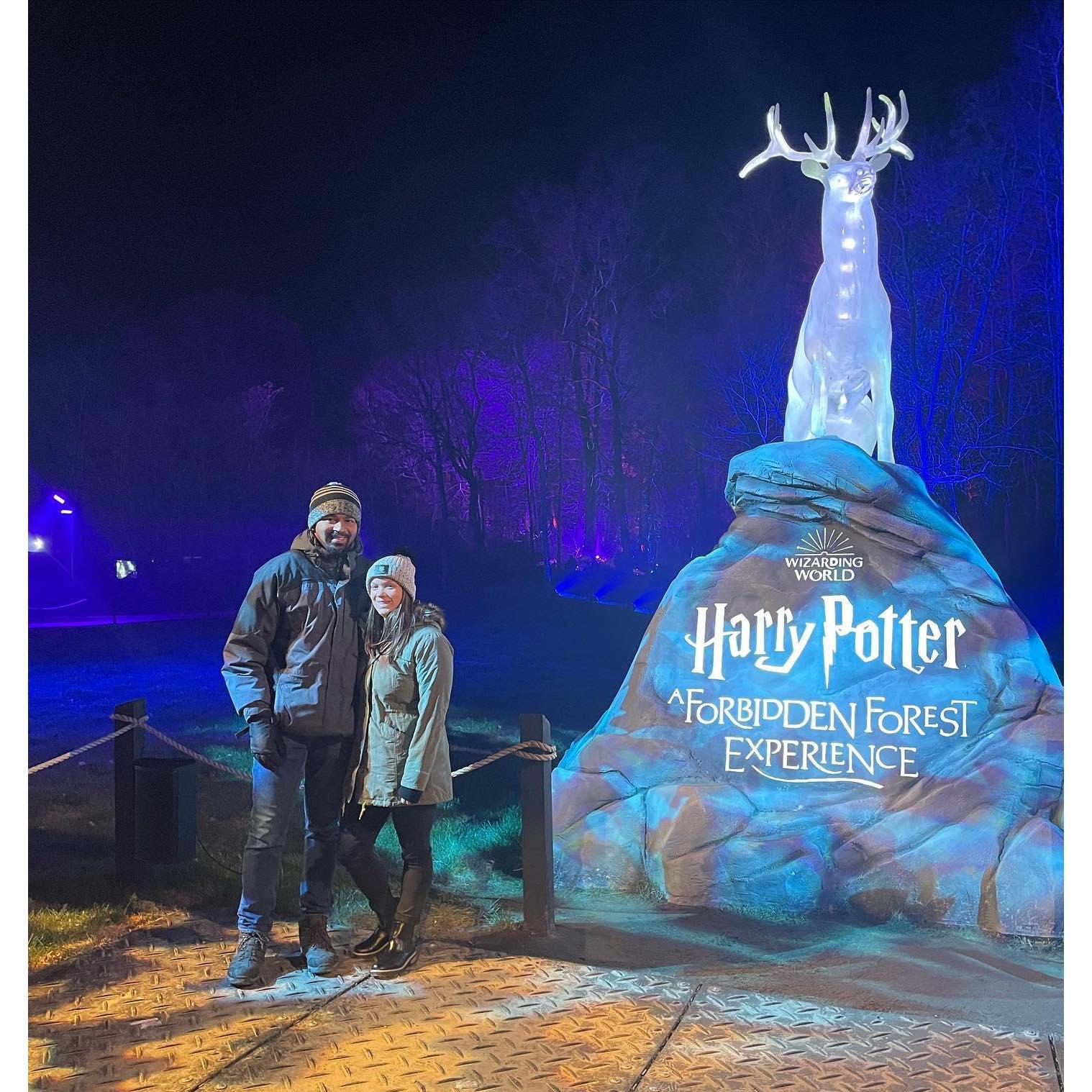 Harry Potter Forest 2022