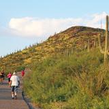 Tumamoc Hill Hiking Trail