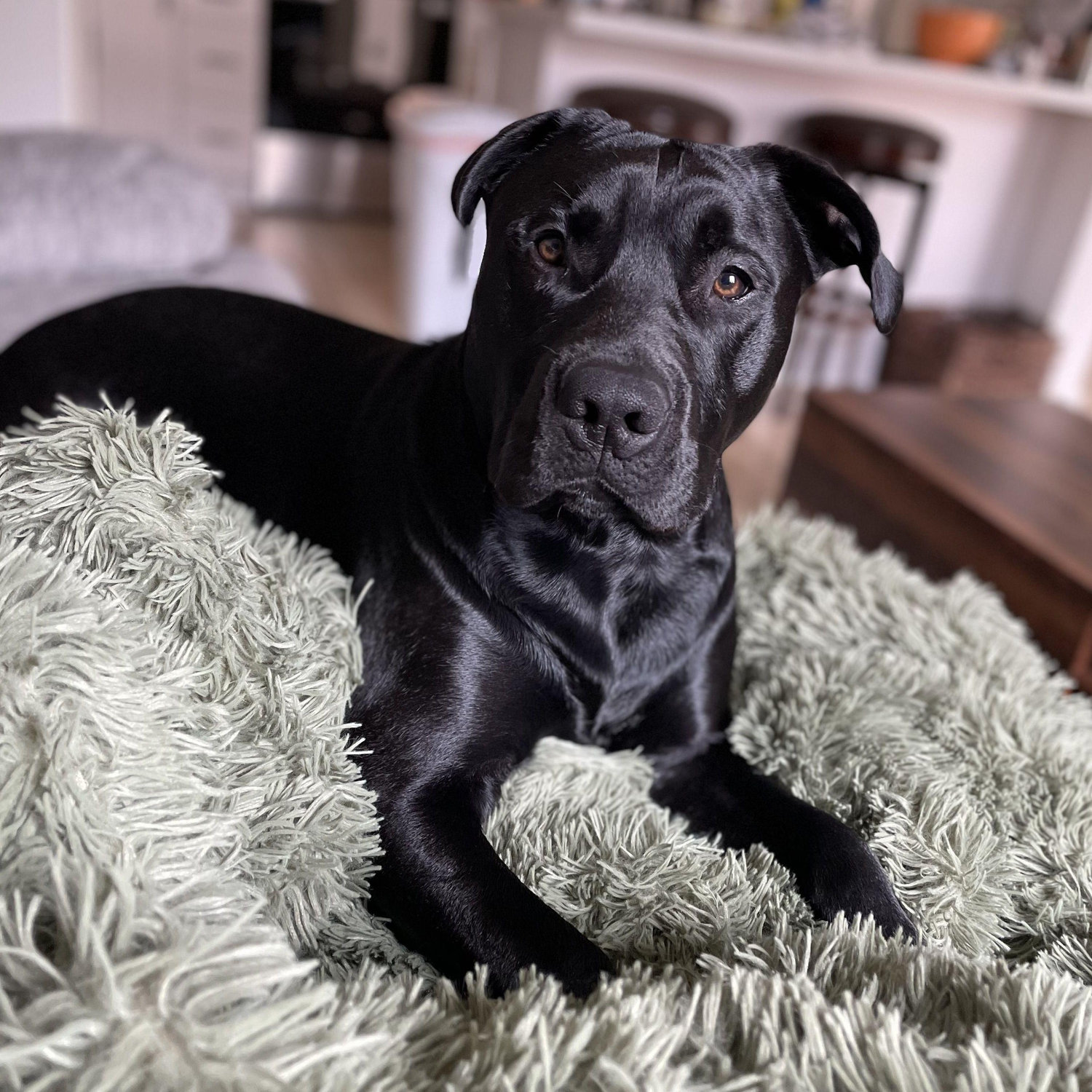 Charlie