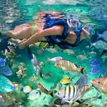Punta Cana snorkeling party cruise