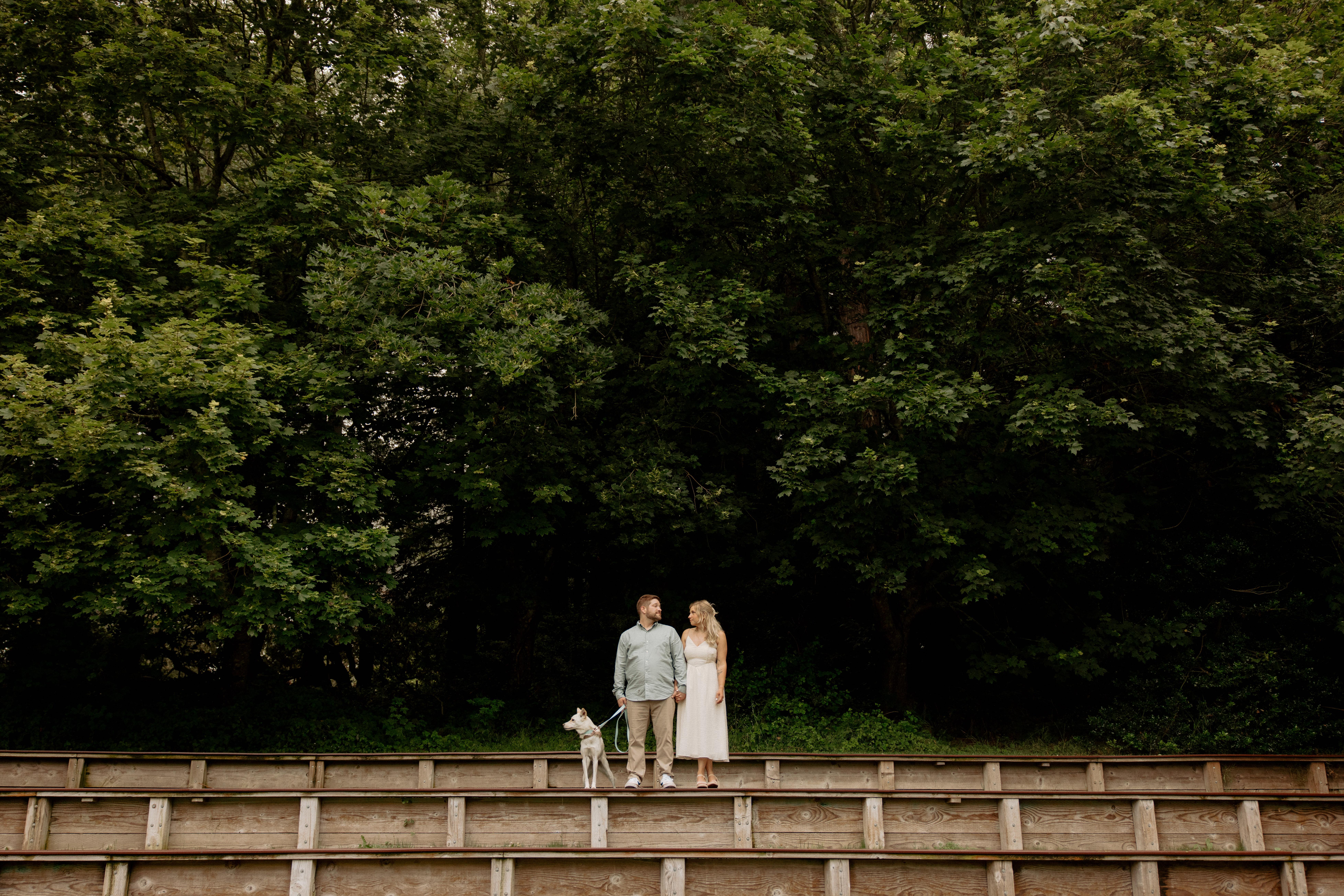 7463e342-5750-4a30-a121-e88d9b52f0b2