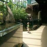 Virginia Living Museum