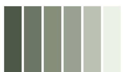 The Wedding Website of Raquel Rodriguez and Francisco Najera