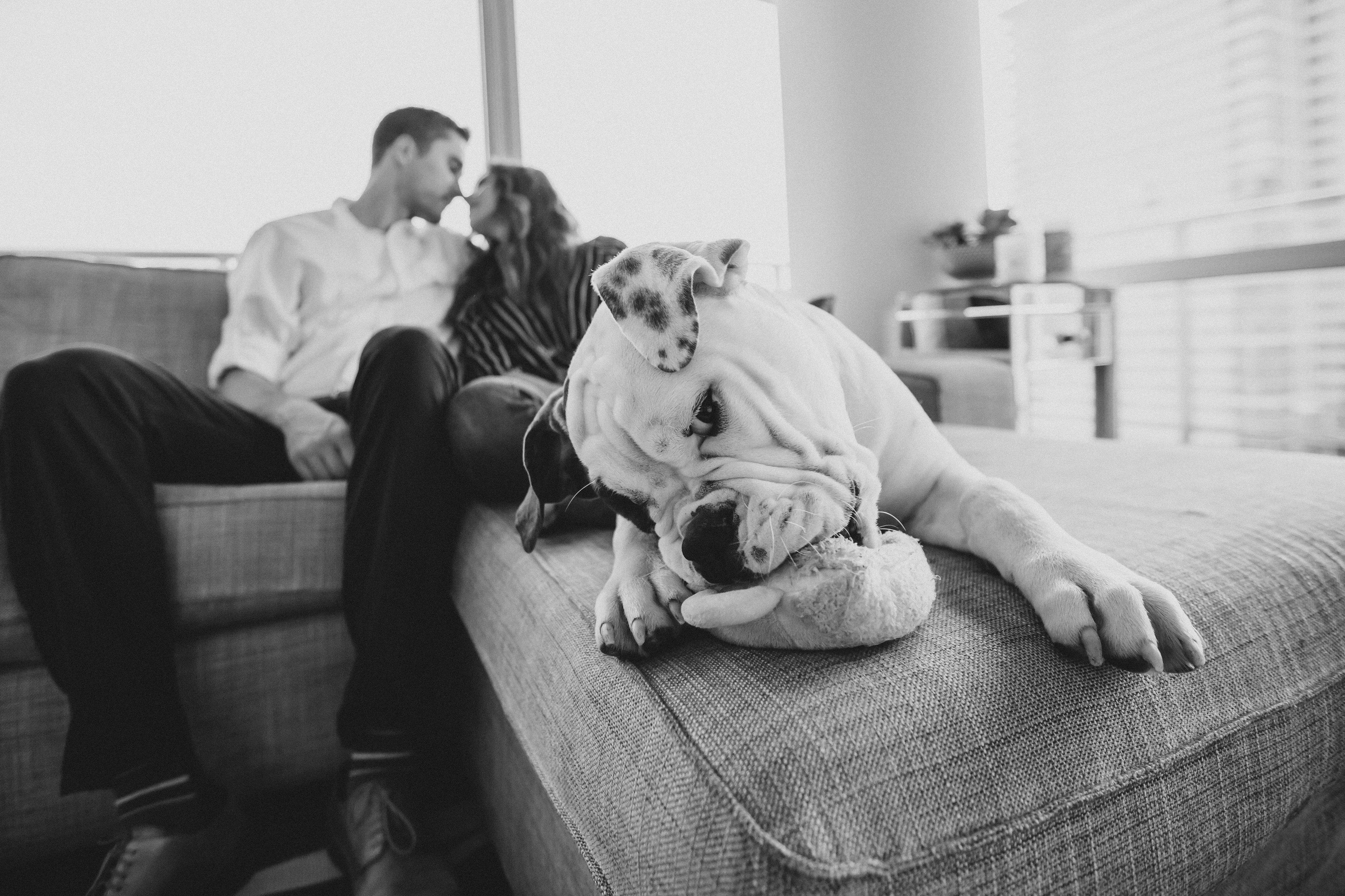 The Wedding Website of Sarah Gihl and Robert Vaughan