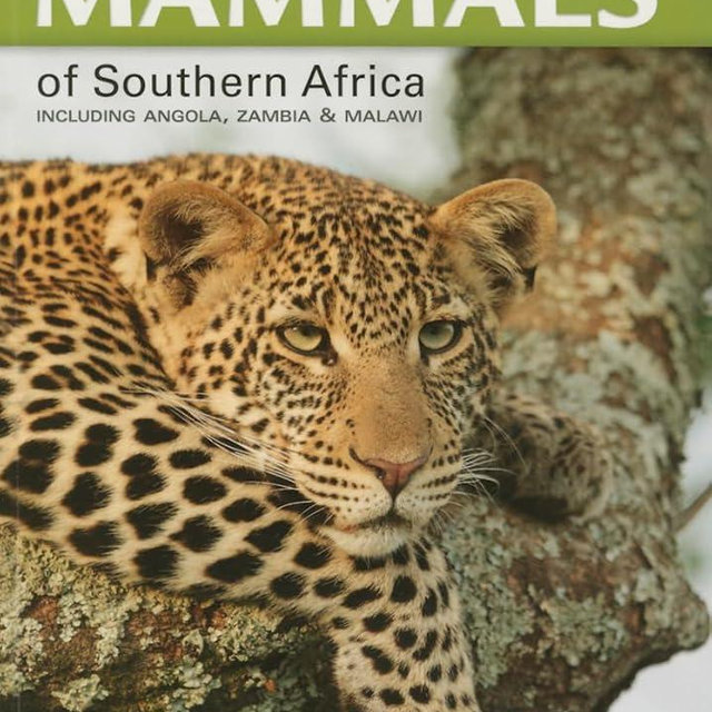 Stuarts' Field Guide to Mammals of Southern Africa