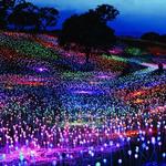 Sensorio - Field of Light