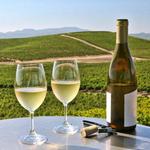 Napa Valley