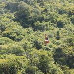 Sierra Madre Mountains Canopy Tour