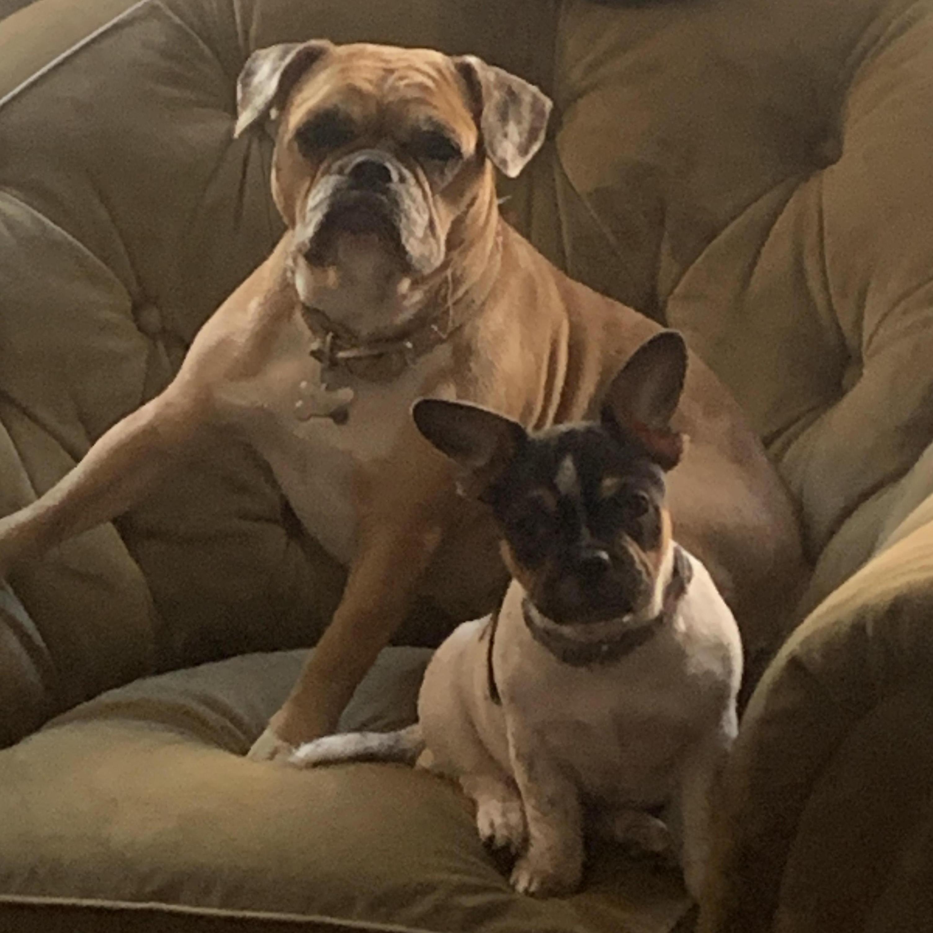 The kids 🐾