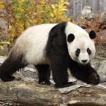 Smithsonian National Zoological Park