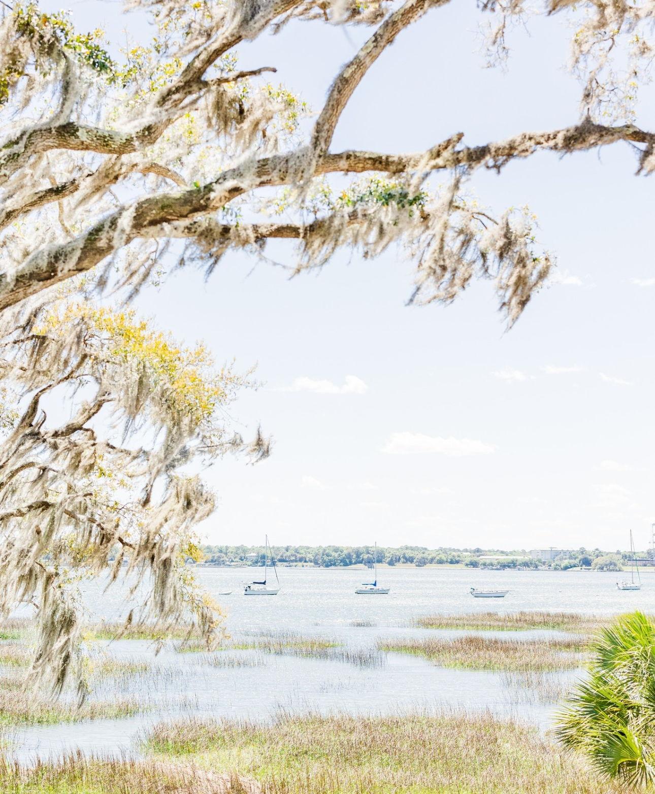 The Wedding Website of Sydney Seigler and Shea Raff
