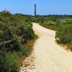 Nature Trail - Cape May Point