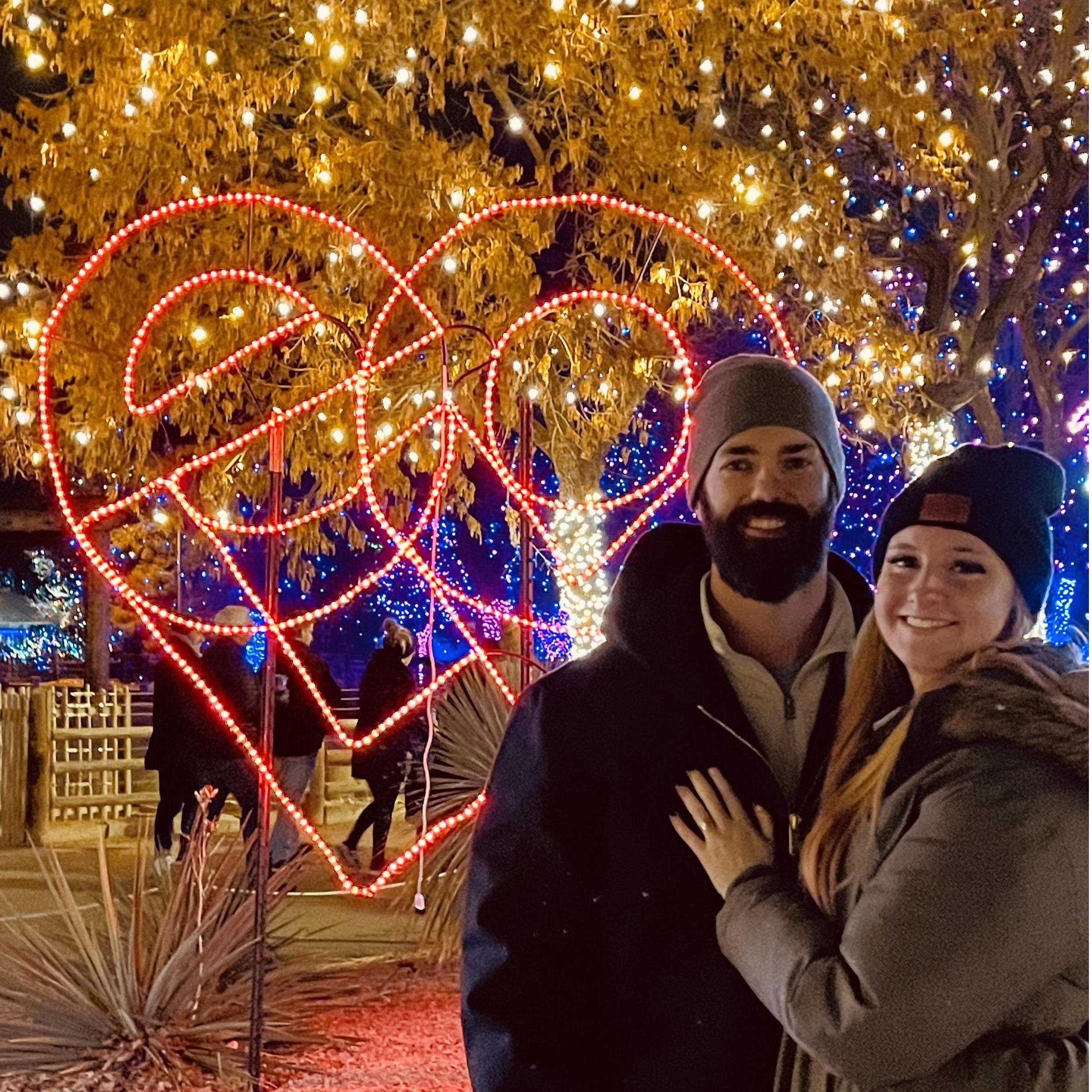 Moments after Megan said YES at Denver Zoo Lights
