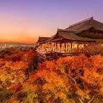 清水寺(Kiyomizu-dera)