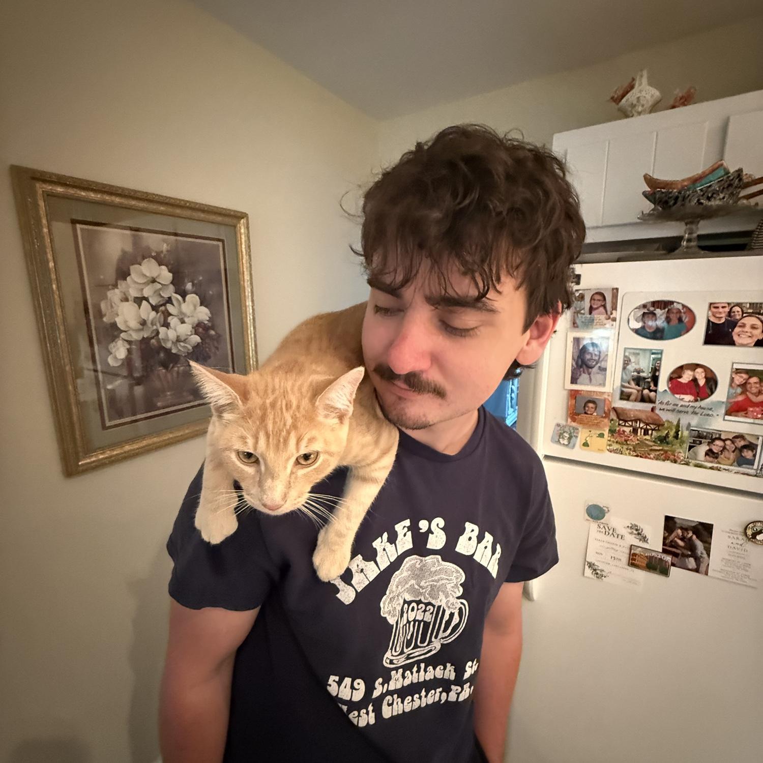 Enjoying life with the kitties!