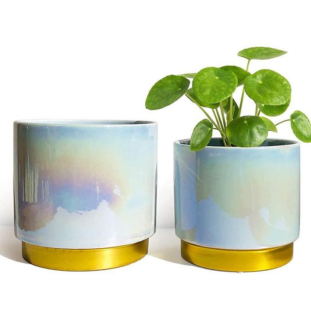 YFFSRJDJ Ceramic Flower Plants Pots Planter with Drainage Hole, 6.0 inch+5.0 Inch. Indoor-Outdoor Large Round Succulent Orchid Pot Set (Blue)