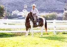 Horseback Trail Rides At Madonna Inn