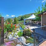 Karma Vineyards