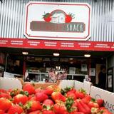 Strawberry Shack