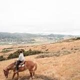 Trail Rides