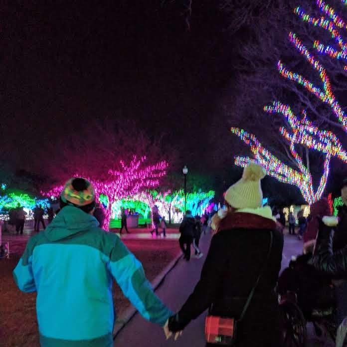 Detroit Zoo Lights!