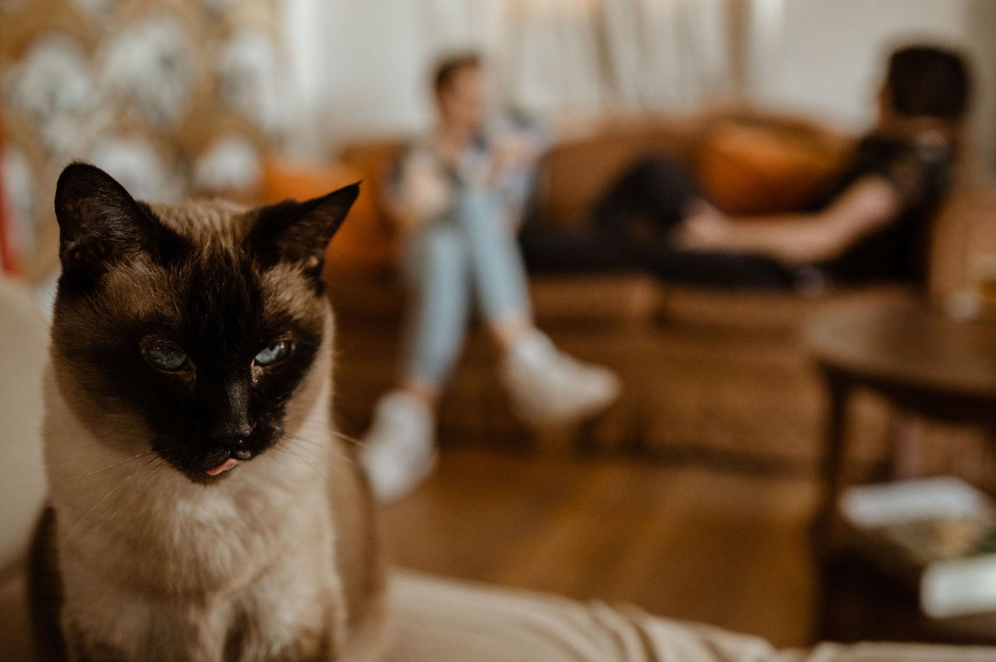 The Wedding Website of Caroline Toby Graham and Stafford Douglas