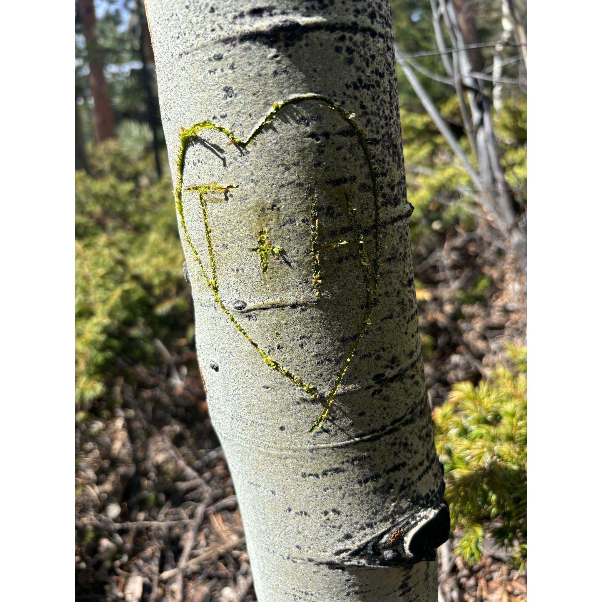 Marking the proposal spot!