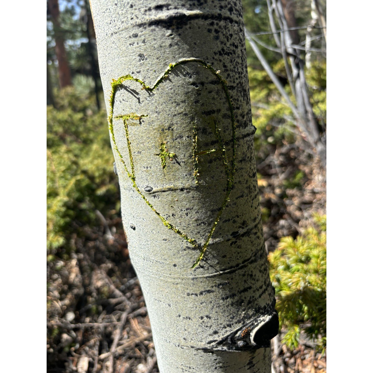 Marking the proposal spot!