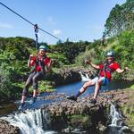 Umauma Falls Zipline & Rappel Experience