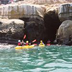 La Jolla Sea Cave Kayaks