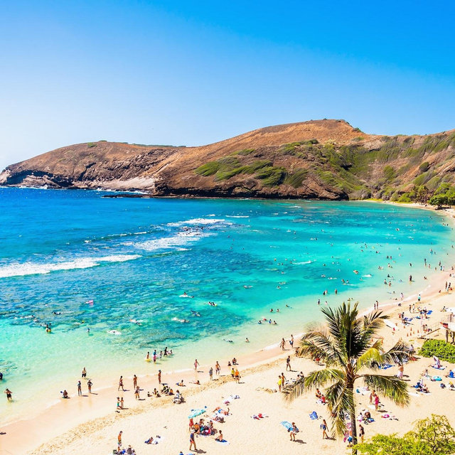 Hawaii Honeymoon