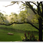 Paradise Springs Winery