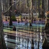 First Landing State Park