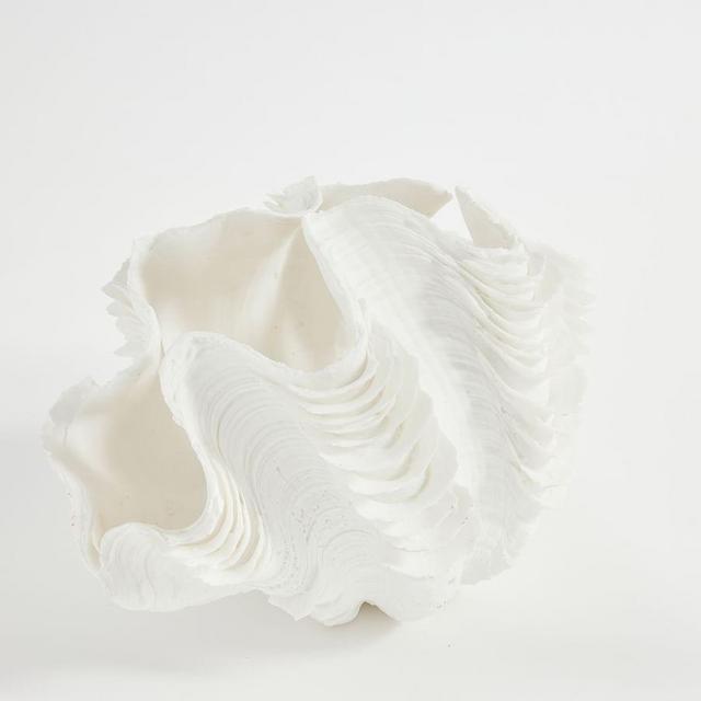 Faux Clam Coral, Small