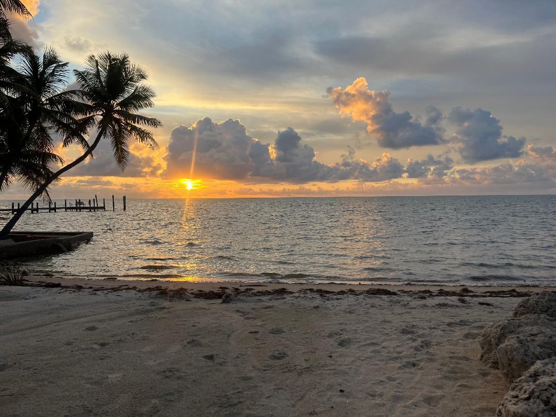 747d38d6-f797-4bd7-b8fb-2c8776b64aa7