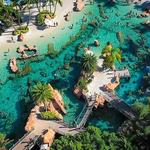 Discovery Cove