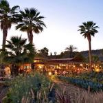 Flora Farms